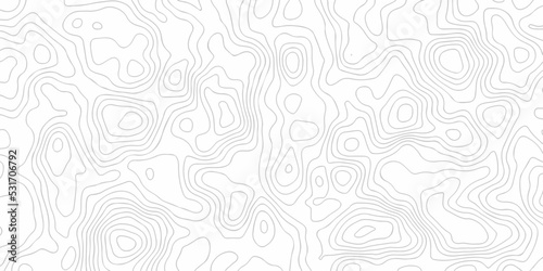 White paper texture abstract pattern with lines topographic map background. Line topography map contour background  geographic grid. Abstract vector illustration.  