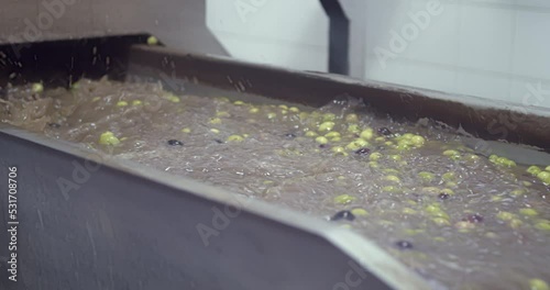 Close-up of black and green olives being washed with water in machine inside olive press factory in Sicily Italy. High quality 4k footage