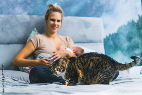 Happy smiling young mother breastfeeding her infant son while sitting on a bed. Family pet, a big multicolored cat meowing and sitting near them. High quality photo photo