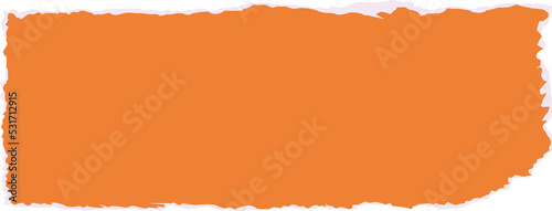 ripped paper element