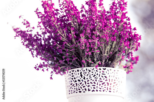 Pink heather in a white flower pot