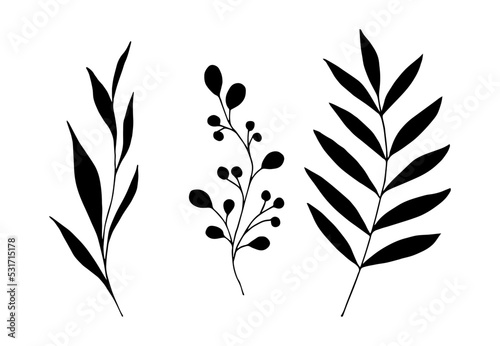Simple vector drawing. Set of twigs with leaves, black silhouette. Nature, vegetation and botany.