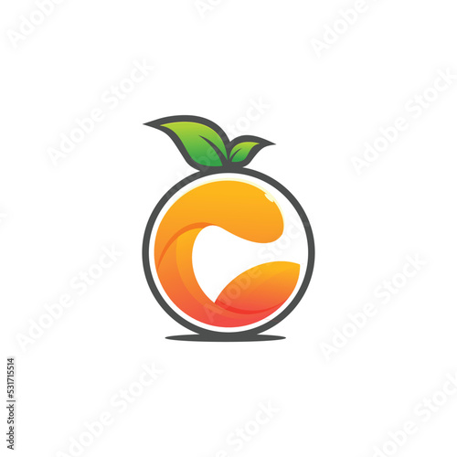 orange logo icon vector fruit