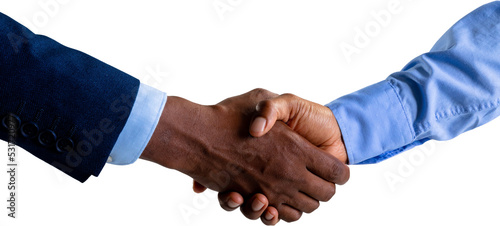 Image of shaking hands of biracial businesswoman and african american businessman