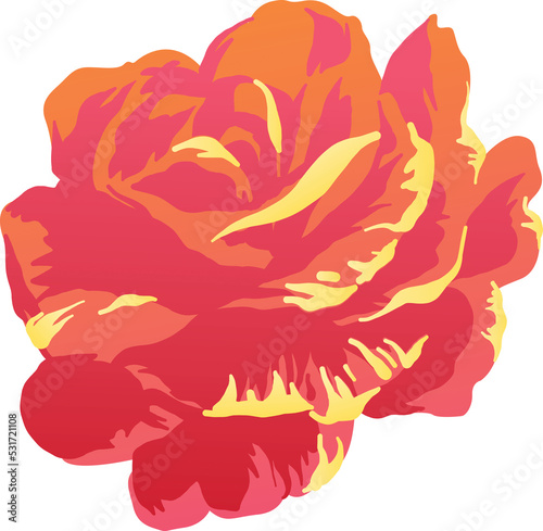 Fototapeta Naklejka Na Ścianę i Meble -  Illustration of red, orange and yellow rose flower