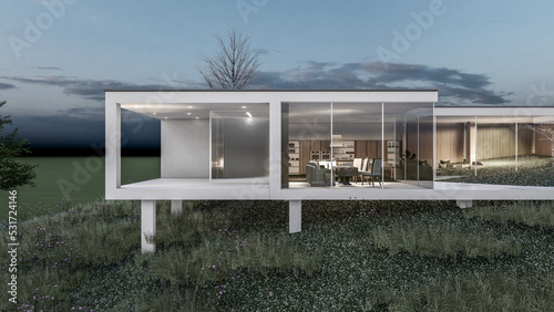 Architecture 3d rendering illustration of modern minimal house built on a natural sloping terrain