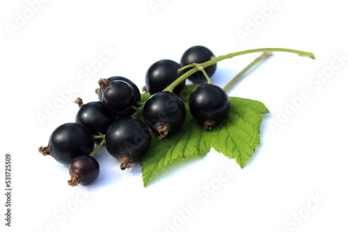 Background black ripe currant with green leaf lies on a white holographic background.