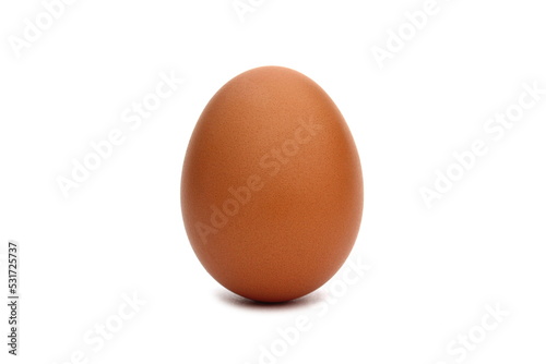 One chicken egg stands on a white background.