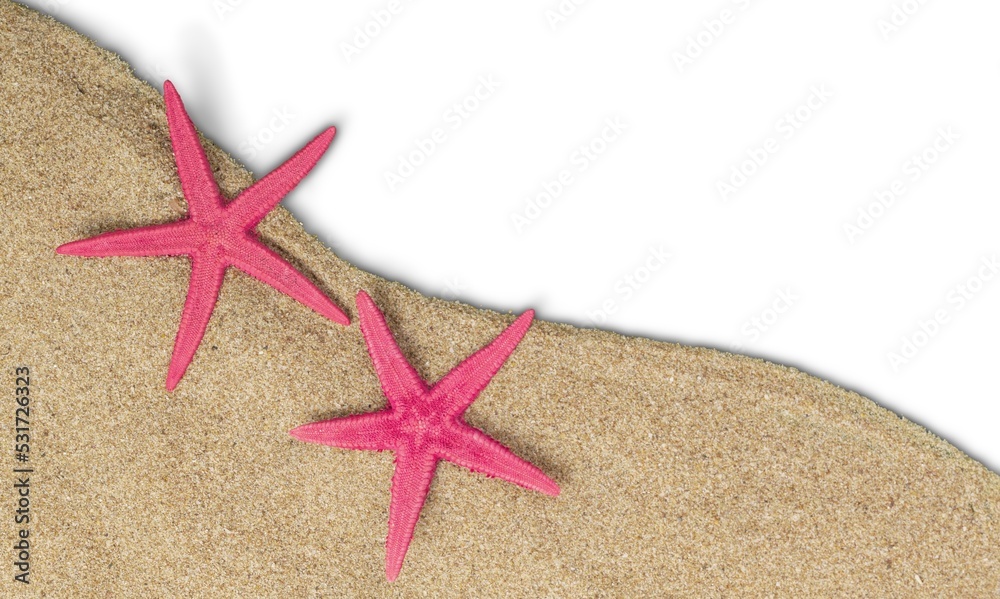 Stars in sand on beach, summer day Stars in sand on beach, summer day