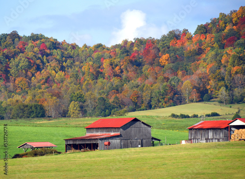 Colorful Red Roofed Barn in Field