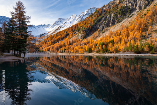 French Alps. Orceyrette Lake in Autumn with golden larch trees. Briancon Region in the Hautes-Alpes. France