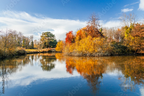 Beautiful reflection of Autumn trees in the water of a lake in a French countryside