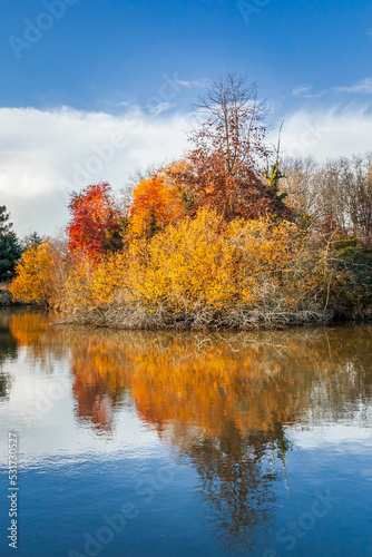 Colorful Autumn trees reflecting on the water of a pond on a beautiful Autumn day in France