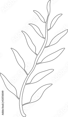 Minimalist Leaf Line Clipart Ornament