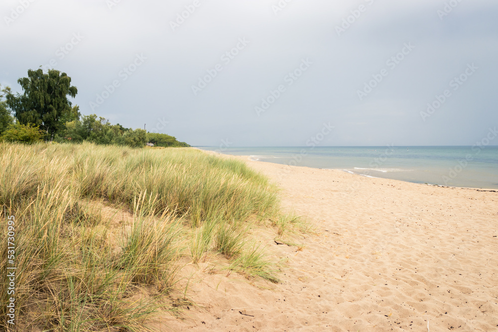 Fototapeta premium Sweden sand dunes beach horizon 