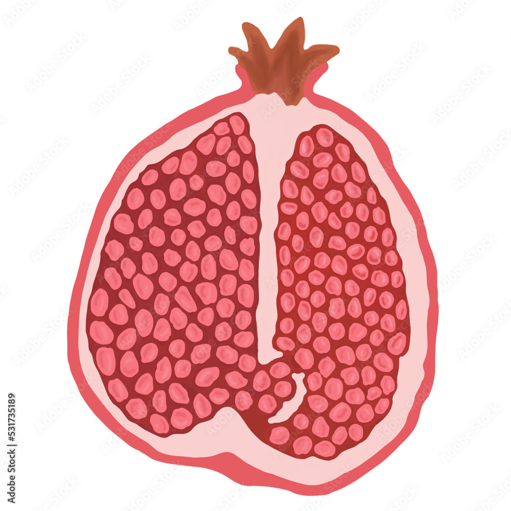 Pomegranate Slice Isolated Transparent background Pomegranate Slice Isolated Transparent background