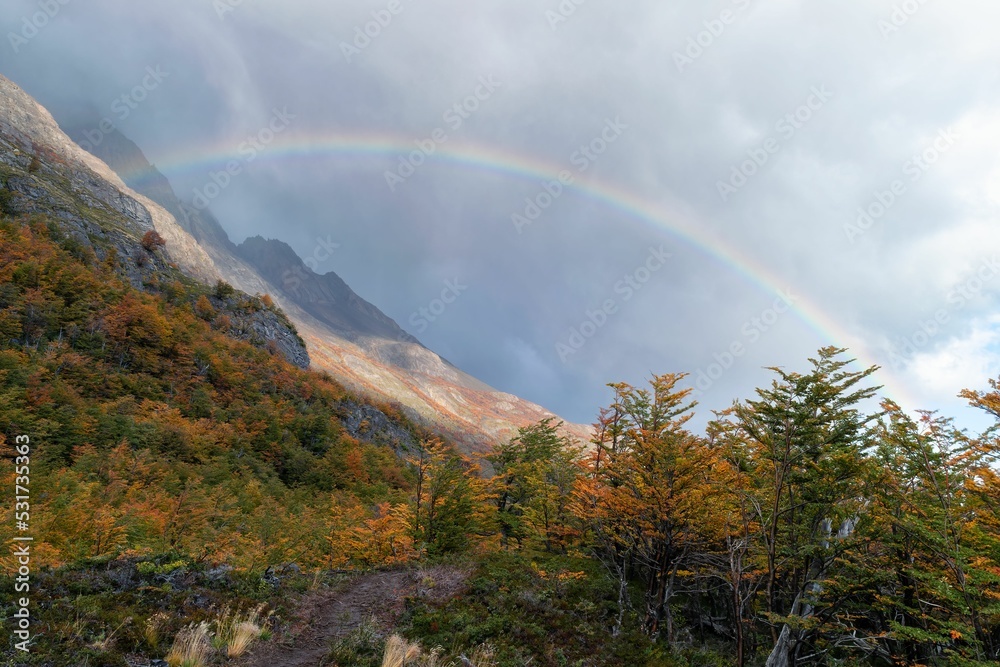Fototapeta premium Beautiful rainbow in autumn, Torres del Paine National Park, Chile