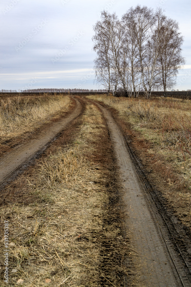 dirt road in countryside and trees, agricultural field in early spring. melancholy and spleen dirt road in countryside and trees, agricultural field in early spring. melancholy and spleen