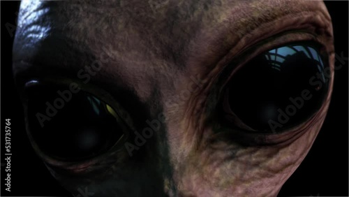 Alien Looks into the camera