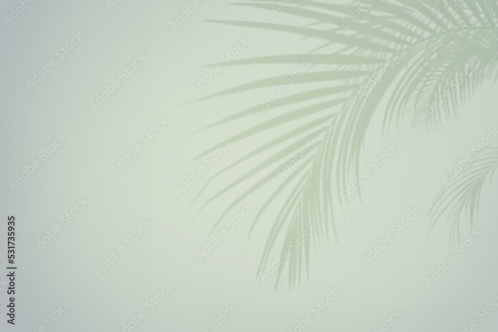 Tropic palm shadow on a pastel color background.