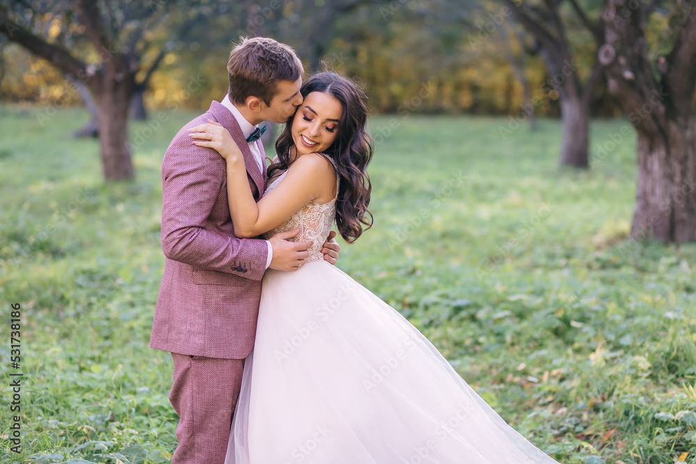 beautiful newlyweds are hugging on the background of trees in the park. bride and groom on a walk in nature. beautiful newlyweds are hugging on the background of trees in the park. bride and groom on a walk in nature.