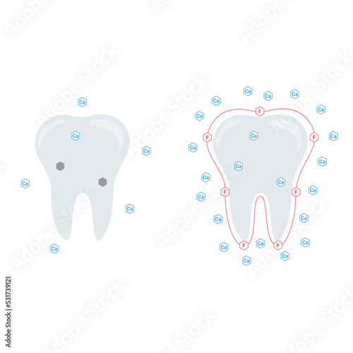 Vector illustration. The effect of calcium and fluoride on teeth