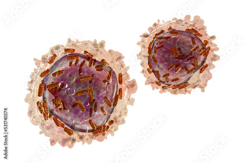 Bilde på lerret Leukaemia white blood cell with mitochondria3D illustration