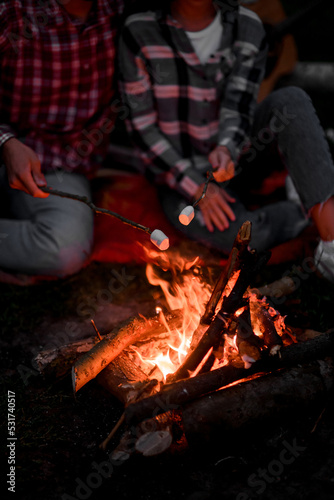 selective focus on marshmallows on stick over fire held by man and woman.