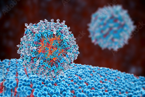 Lipid nanoparticle mRNA vaccine photo