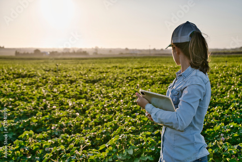 Smart farmer woman agronomist checks the field with tablet. Inteligent agriculture and digital agriculture..Female, young woman photo