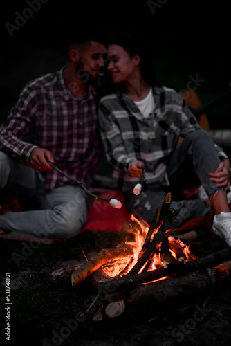 Young couple in love roasting marshmallows on campfire on nature. © fesenko