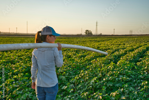 Female farmer agronomist installing tube irrigation system. Young female farmer working in irrigation of farmland