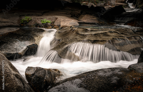 Smooth streams of river water flowing over the rocks in Mount Rainier National Park  Washington State. Long Exposure Photography.
