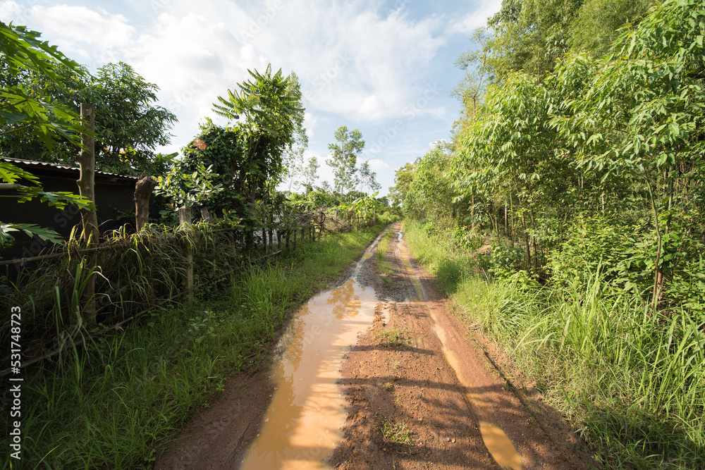 rural area in Amphoe Kabin Buri, Thailand. rural area in Amphoe Kabin Buri, Thailand.