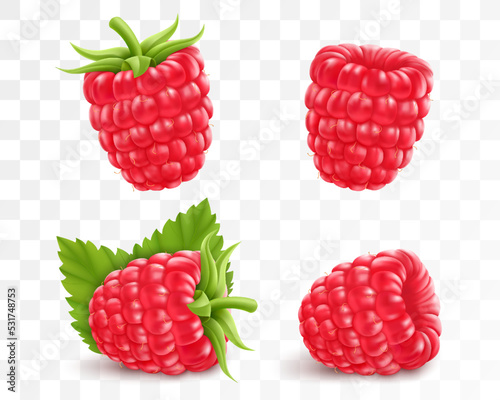 Collection of ripe raspberries isolated on transparent background. Natural summer fruit, realistic 3d vector illustration. Ingredient for juices, jams, yogurts, compotes. Mockup for package design