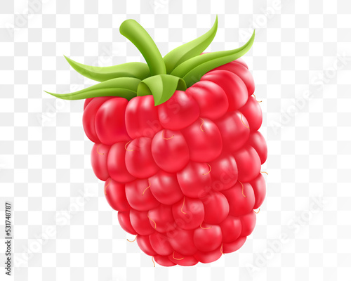 Ripe raspberry isolated on transparent background. Natural summer fruit, realistic 3d vector illustration. Ingredient for juices, jams, yogurts, compotes. Mockup for package design