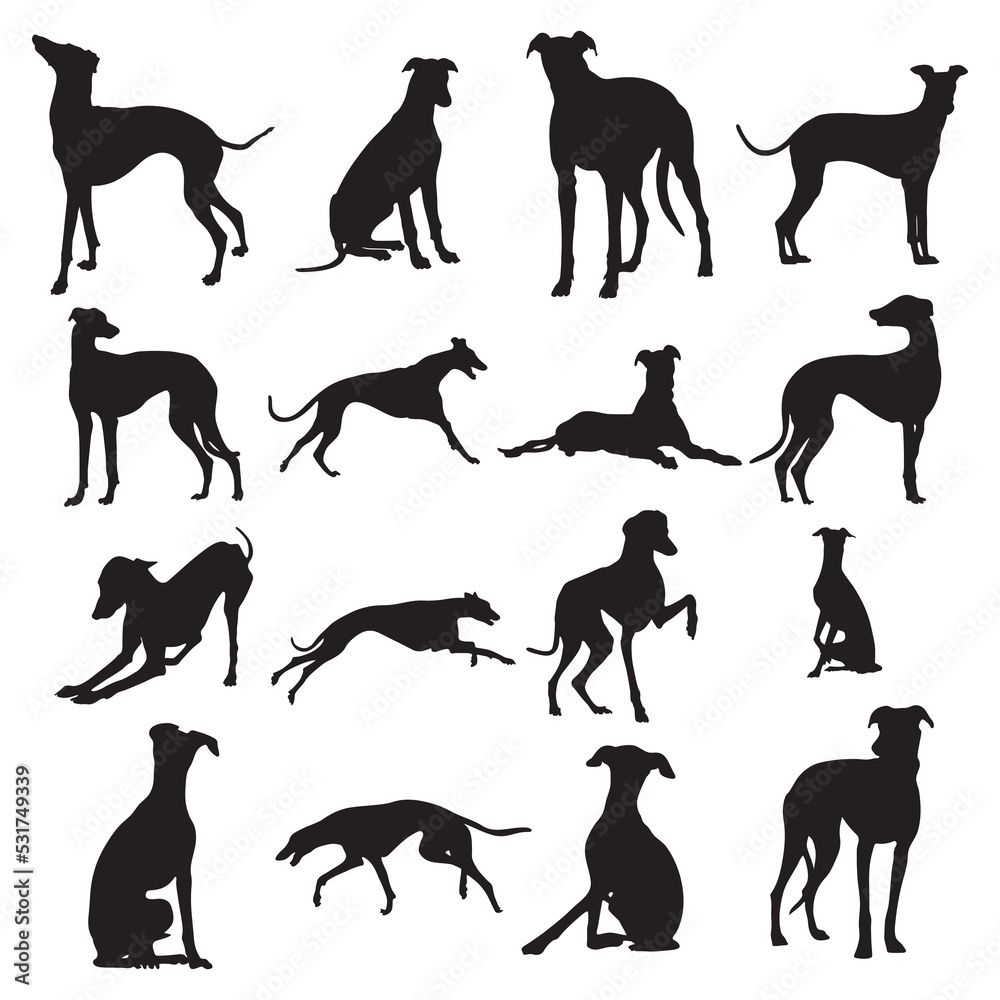 Greyhound dog silhouettes, Greyhound dog animal silhouette collection