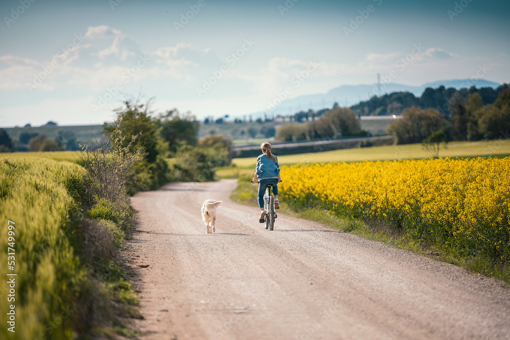 Obraz premium Shot of beautiful young girl riding a bike while walking her dog in the park through rapessed field.