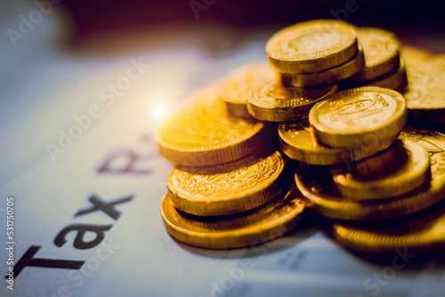 Financial statistics, infographics papers, check sums,
forex profits, loans, savings and credit concepts, chart papers opy focus area, vintage color, Save money for the Fund.