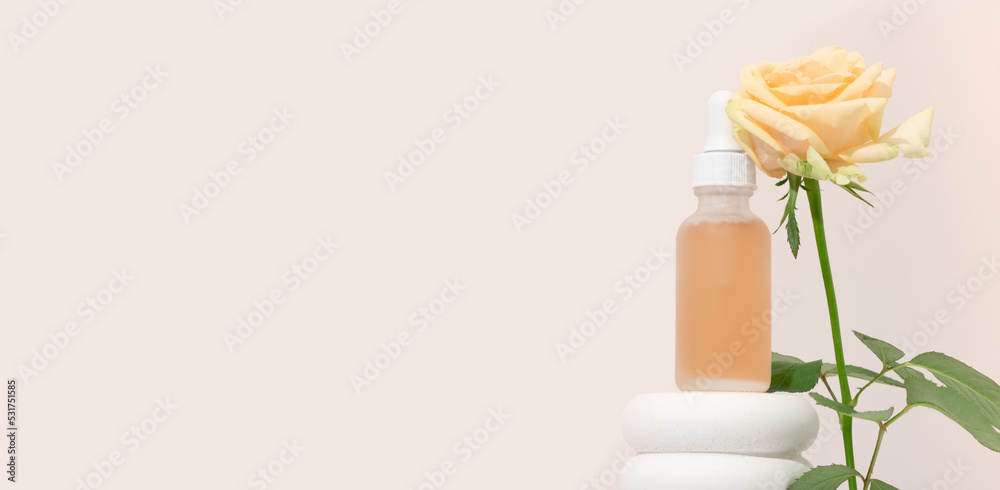 Mockup cosmetics serum with a pipette in a transparent frosted glass and orange liquid. Facial peeling with lactic Aha acid on a white pedestal, beige background with roses