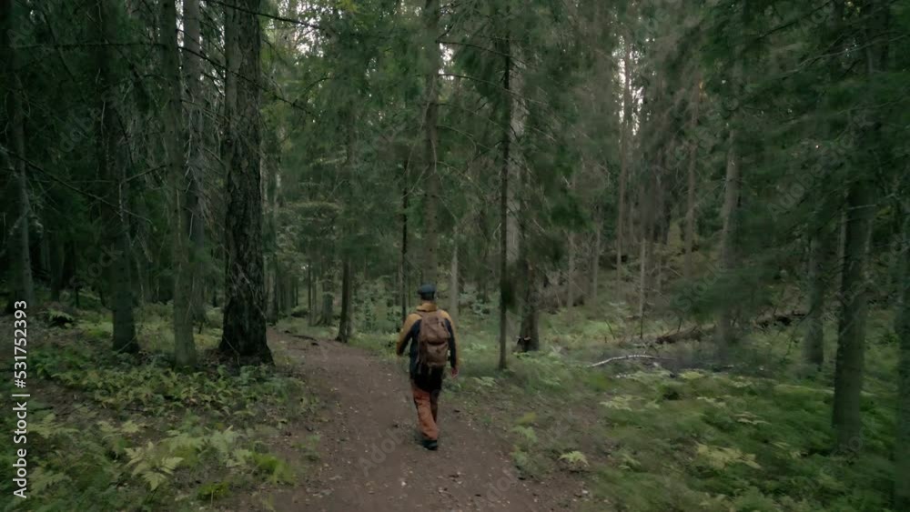 A man walking and exploring on a nature path in old forest. A man walking and exploring on a nature path in old forest.