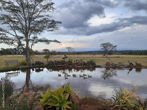 Lodge near Nanyuki