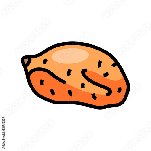 sweet orange potato color icon vector. sweet orange potato sign. isolated symbol illustration