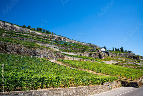 Fototapeta Naklejka Na Ścianę i Meble -  Le Vignoble de Lavaux classé au patrimoine mondial de l'humanité en Suisse