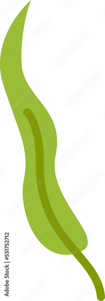 Green Leaf Plant. Vector illustration Green Leaf Plant. Vector illustration
