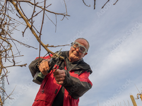 Bottom view of an older farmer smiling with goggles pruning trees with electric shears.