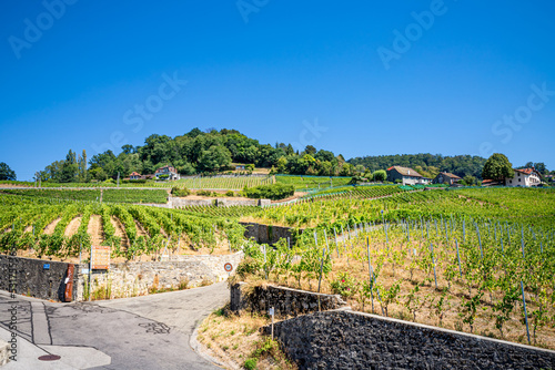 Le Vignoble de Lavaux calssé au patrimoine mondial de l'humanité en Suisse