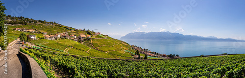 Panorama du Vignoble de Lavaux classé au patrimoine mondial de l'humanité en Suisse photo