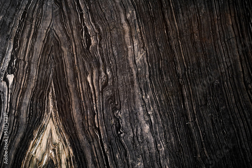 dark brown sapwood texture wallpaper.wood grain texture background. seamless pattern.