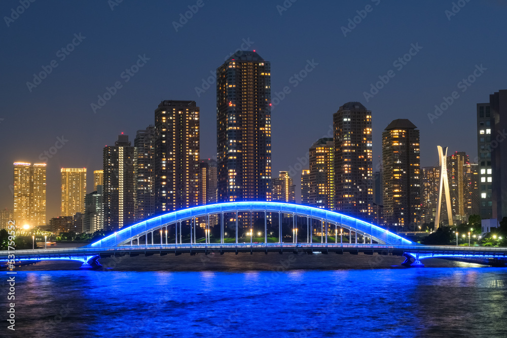 Fototapeta premium 東京都 隅田川に架かる永代橋と高層マンション群の夜景